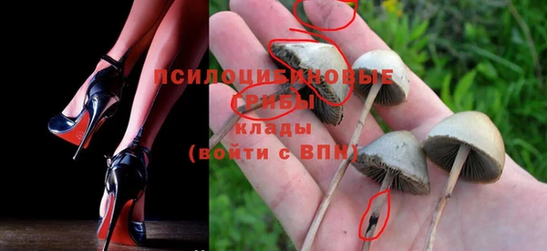 прущие крисы Няндома